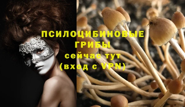 гидра Навашино