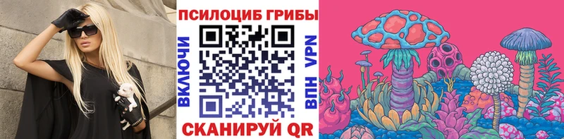 Псилоцибиновые грибы Psilocybe  Власиха 